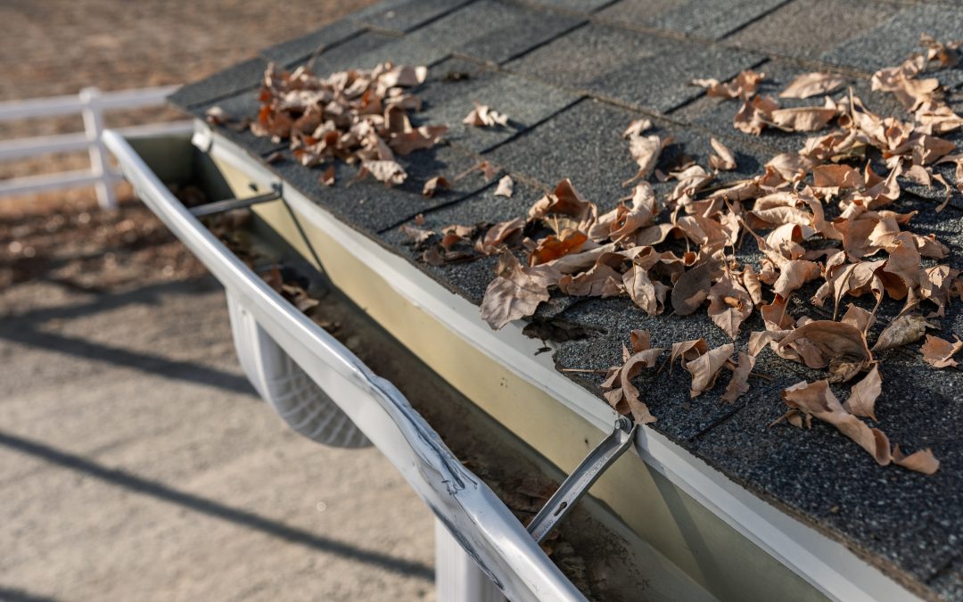 Why Ignoring Gutter Maintenance Can Lead to Hidden Structural Damage