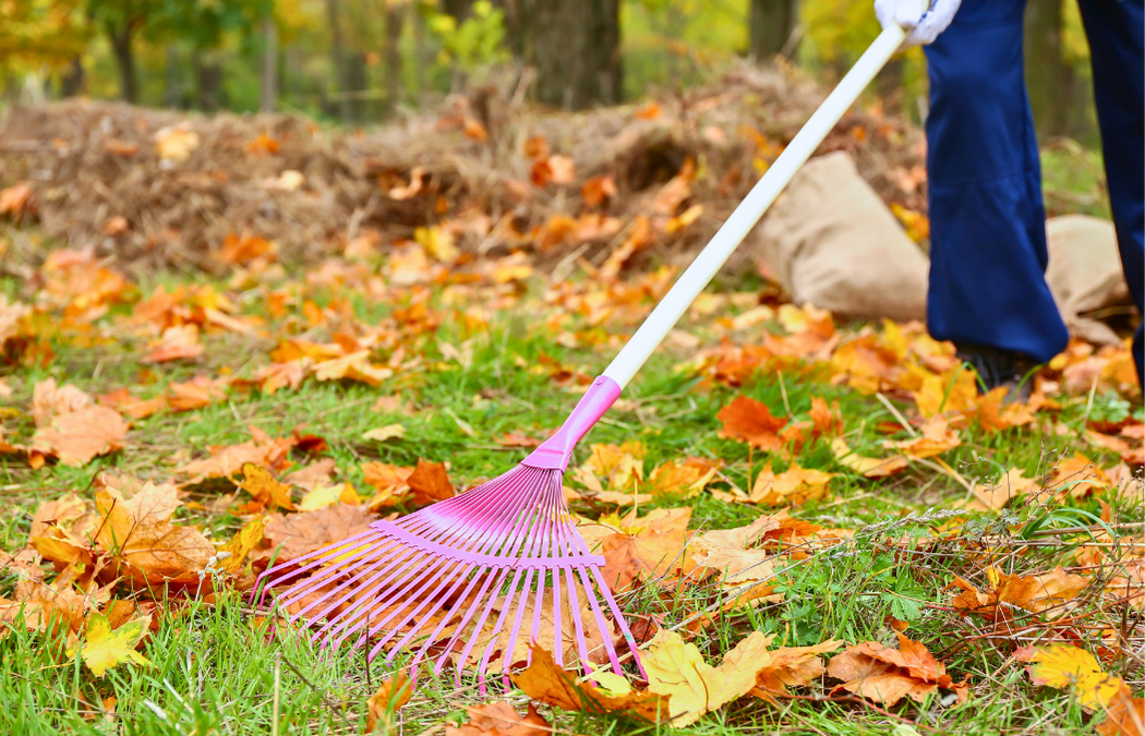 The Hidden Costs of Skipping Fall Home Maintenance in Bloomington, IL