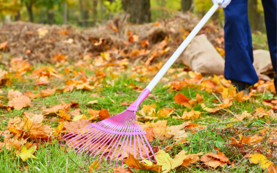 The Hidden Costs of Skipping Fall Home Maintenance in Bloomington, IL